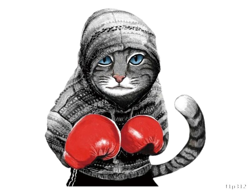 Boxing Cat