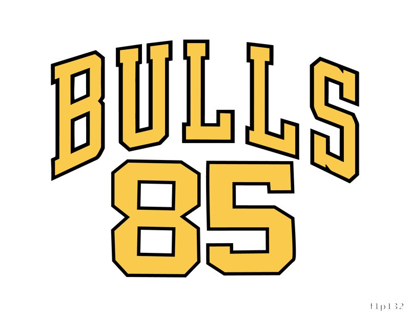 Bulls 85 Graphic