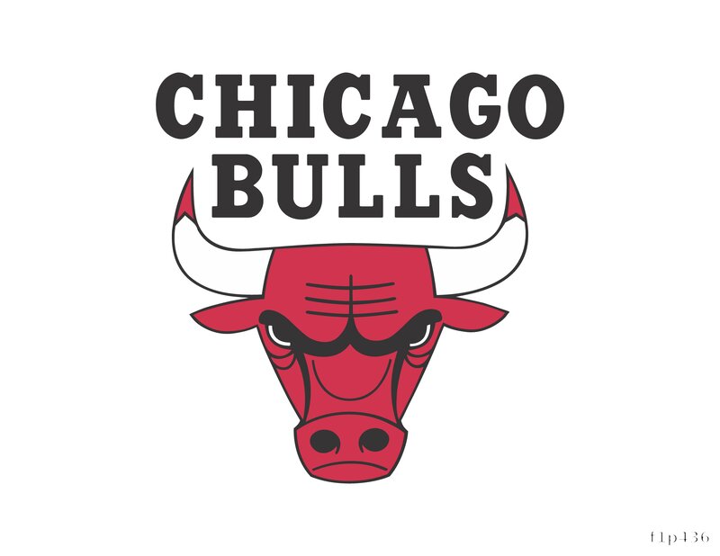 Chicago Bulls Graphic
