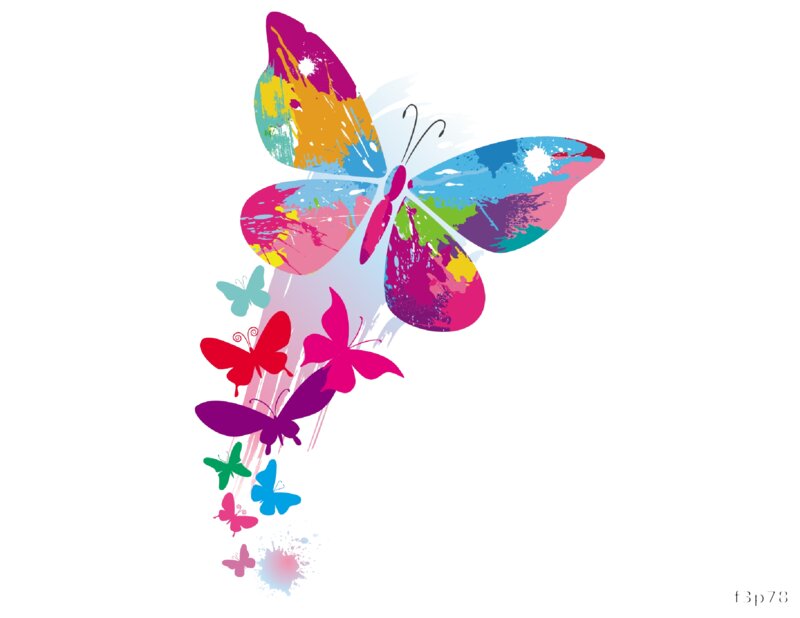 Colorful Butterfly