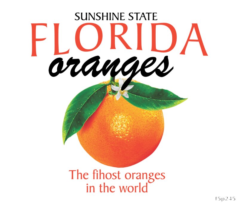 Florida Oranges Design