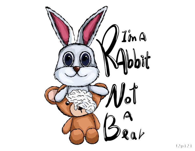 I'm a Rabbit Not a Bear