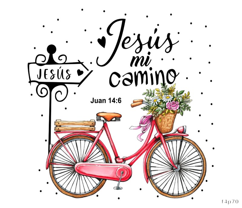 Jesus Mi Camino