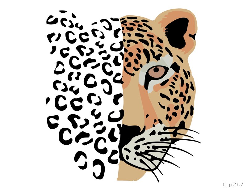 Leopard Design