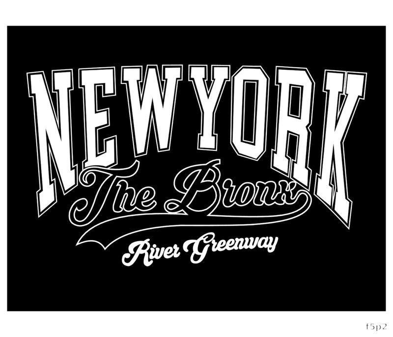 New York The Bronx