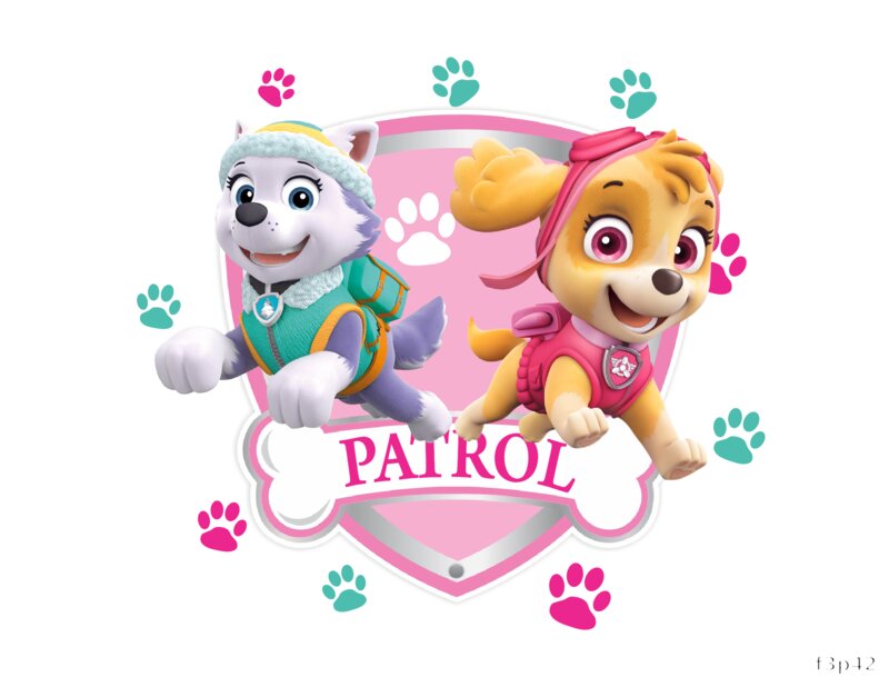 Paw Patrol Adventure