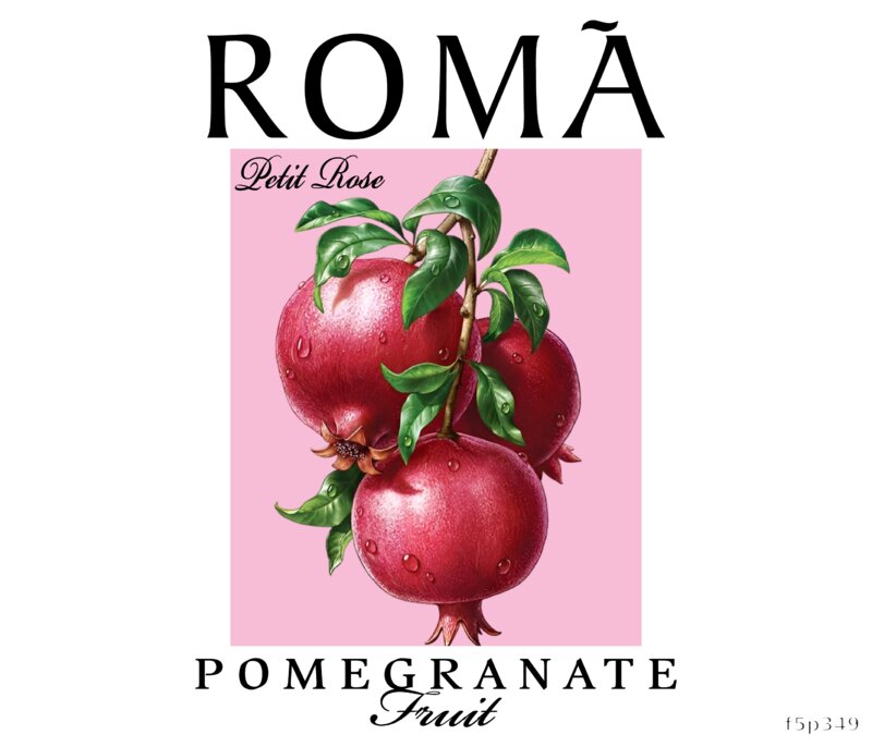 Pomegranate Fruit Art