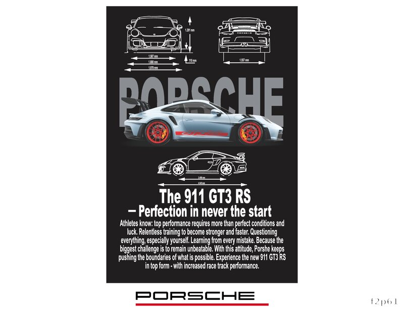 Porsche Racing Experience