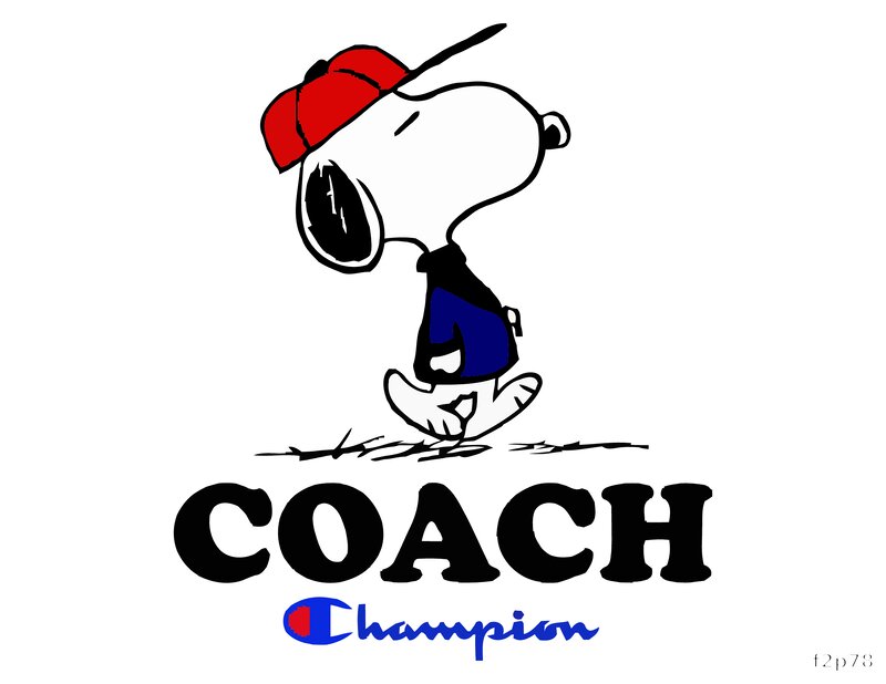 Snoopy Coach Design