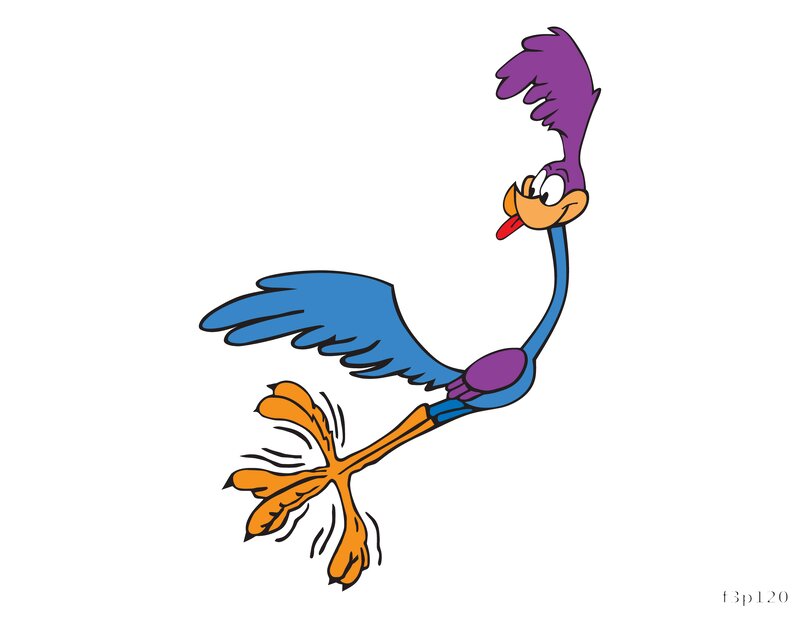 Speedy Bird