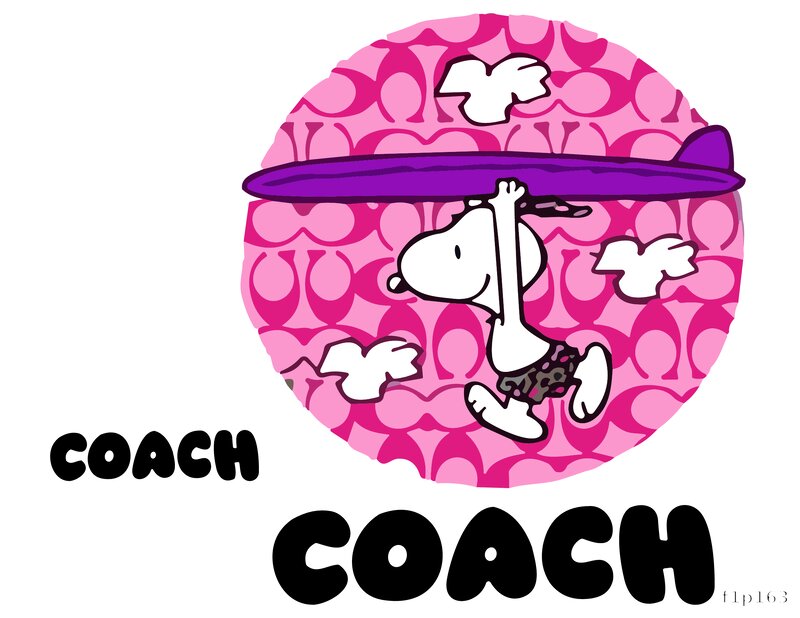 Surfing Snoopy