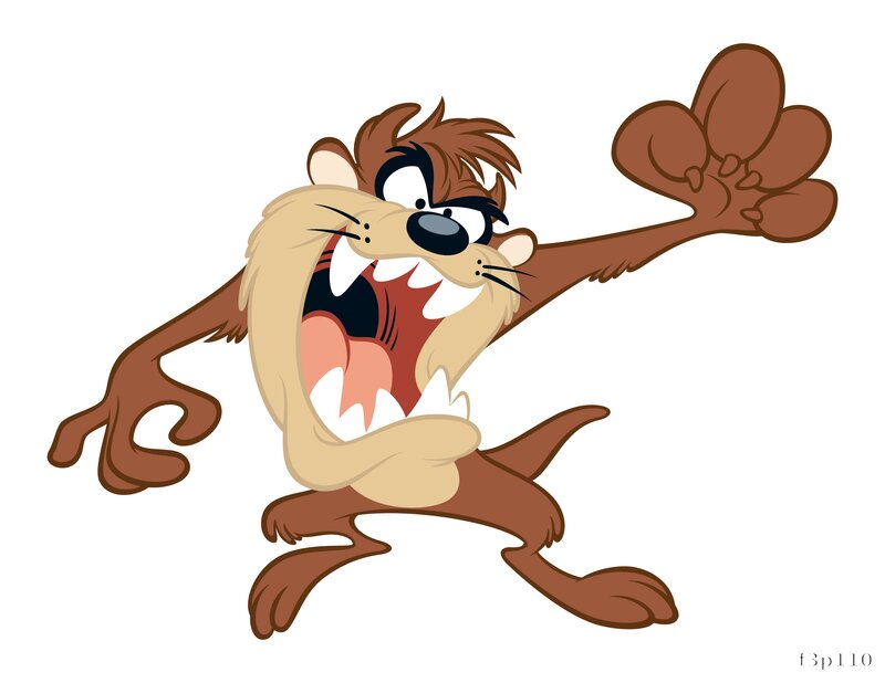 Tasmanian Devil Design